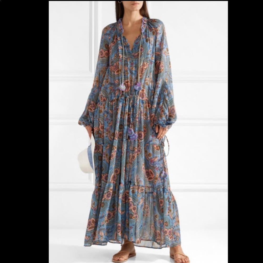 Anjuna Alicia printed metallic gauze maxi dress.
